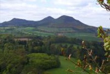 Rosslyn Chapel and the Scottish Borders